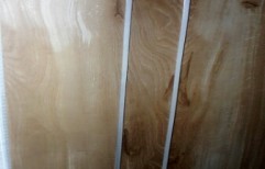 Plywood Door by New Laminate Point