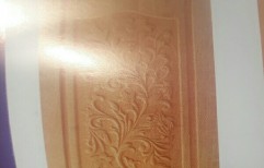 Plywood doors by Arasan Glass And Plywood