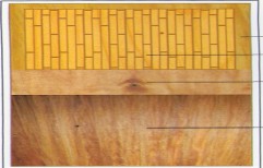Flush Door by Sri Ram Hardware And Plywoods