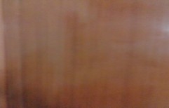 Plywood Door by Limra Marketing