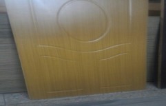 Flush Doors by Ballary Shipping Enterprises (P) Ltd.