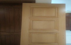 Plywood Door by Kashyap Wood Works Private Limited