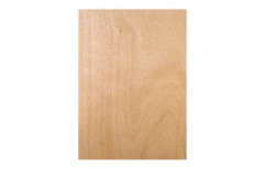 Plain Hardwood Flush Door        by RK Trading Co.