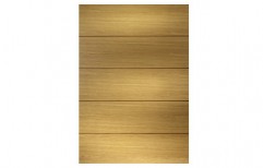 MR Flush Door   by Shri Om Plywood Private Limited
