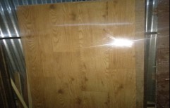 Plywood Door by Om Ply And Glass Center