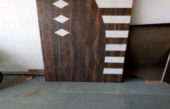 Plywood Door by Dhanalaxmi Plywoods