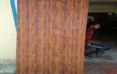 Wood Doors by Raj Plywood & Laminate