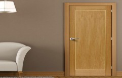 Flush Door by Shri Om Plywood Private Limited