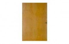 Plywood Door by Golden Ply & Doors