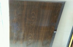 Plywood Door by Sadguru Hardware & Electricals