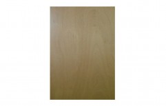 Solid Plywood Door    by Sell Shine Woods & PLywoods