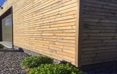 Pine Wood Wall Cladding by Royal International
