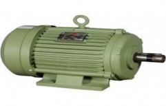 3 Phase 1HP Foot Mounted Motor by Tripurari Electric Works