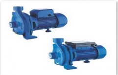 2HCP Series Volumetric Water Pumps   by CNP Pumps India Pvt. Ltd
