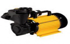 Self Priming Monoblock Pump by Eines Equipments and System