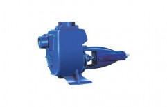 Centrifugal Self Priming Pump by Globe Star Engineers (India) Private Limited