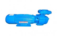 Domestic Monoblock Pump by Trehan Electricals