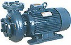 Centrifugal Monoblock Pump     by Anand Traders