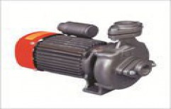Monoblock Centrifugal Pump by Andhra Pumps & Motors