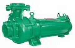 Open Well Submersible Pump Set by Riva Pumps & Motors Pvt. Ltd.