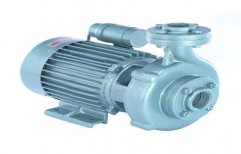 1 HP Centrifugal Monoblock Pump   by Rushabh Industries