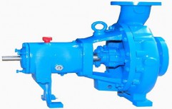 Chemical Process Pump by Globe Star Engineers (India) Private Limited