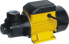 Domestic Water Pump by Ambica Trader