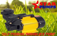 Domestic Self Priming Mono Block Pump   by Star Industries