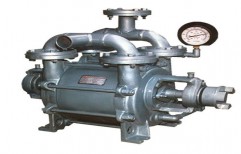High Capacity Low Vacuum Pumps   by Everest Analyticals