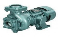 51 to 100 m Single Phase Monoblock Pump, Electric