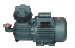 Submersible Pumpset 96mm by Bharat Machine