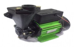 0.1 - 1 hp Single Phase Domestic Water Pump