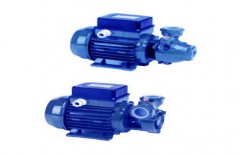 Peripheral Electric Pump   by Standard Global Supply Pvt. Ltd.