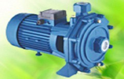 Domestic Water Supply Pumps   by CNP Pumps India Pvt. Ltd.