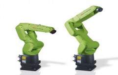 articulated robot / 6-axis / palletizing / handling   by FANUC Europe Corporation