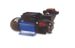Domestic Water Pump by Impex Machinery Corporation