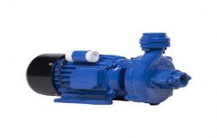Mini Domestic Monoblock Pump by Indo Manufacturing Company