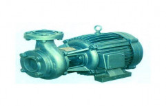 Monoblock Pumps by Kamdhenu Electricals