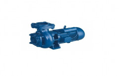 Single Phase Monoblock Pump   by Pilot Electric Ind.