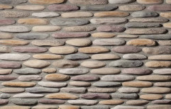 Stone Wall Cladding by Shivaji Tiles