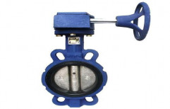 Butterfly Valve by R M Co