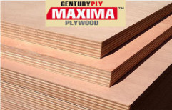 CenturyPly Waterproof Wooden Plywood by New National Hardware & Paints