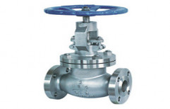 Globe Valves by Seerex Pumps Private Limited