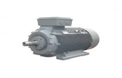 Induction Electric Motor by Sai Krupa Electric Motors Company
