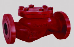 PV-203 Cast Steel Horizontal Lift Check Valve by Optima Instruments