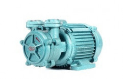 Single Phase Monoblock DMS Pumps by A. L. Engineering Company