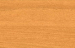 Steam Beech Timber by Pyramid Ply  Wood Products Private Limited
