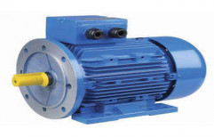 Three Phase Electric Induction Motor by Bhagvati Electric