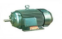 Three Phase Induction Motors by Sri Ram & Co.