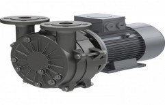 2HP Water Ring Vacuum Pump for Priming   by Whirler Centrifugals Private Limited